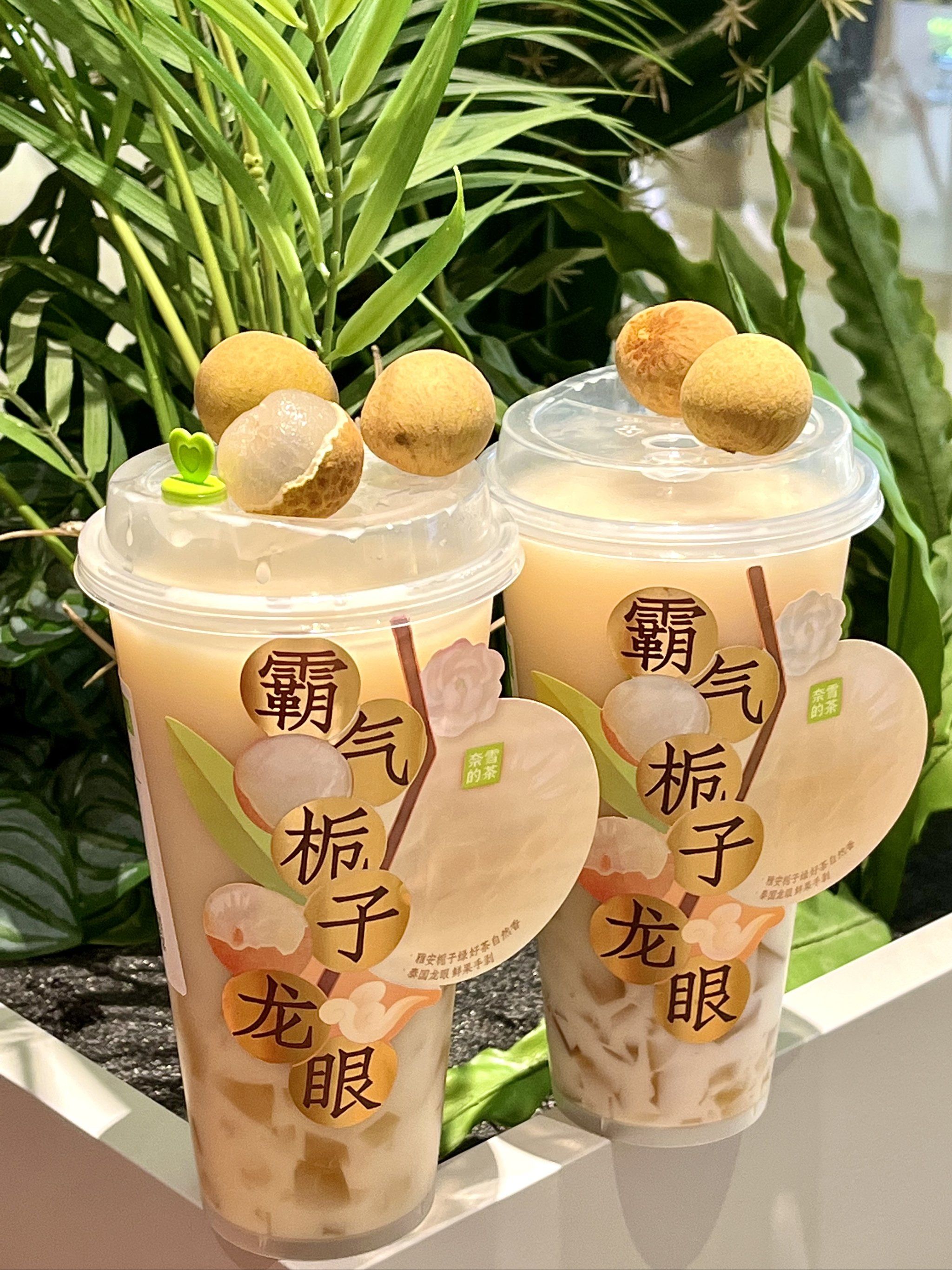 生椰乳 栀子绿茶冻 龙眼肉
茶底好香,永远的神,

刚开工来上一