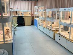 -翊宠yipet猫狗购宠庄园犬舍•猫舍