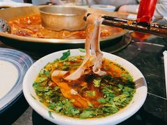 -杨家火锅(国美店)