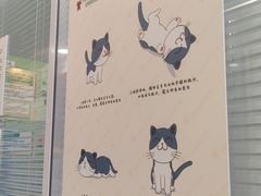 -悦宠凯宝动物医院·牙科·皮肤科(朝阳北路店)