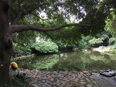 -成都市活水公园