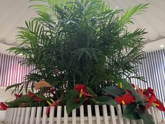 -LANN I 蘭 SPA(陆家嘴中心店)