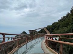 -少华山国家森林公园