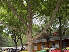 -石家庄市动物园