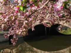 -海棠花溪(元大都城垣遗址公园)