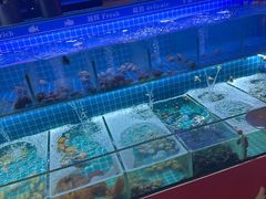 -漳州佰翔圆山酒店·圆山畔西餐厅