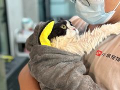 -PETKIT小佩宠物·低压洗护(国顺东路店)