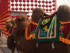 -西安汉城湖景区