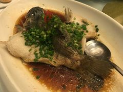 -梦都海鲜酒家(万达广场江桥店)