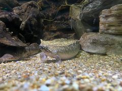 -上海海洋水族馆