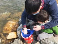 -丁香湖公园