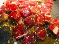 -猫爪爪原切自助烤肉(观音桥阳光世纪店)