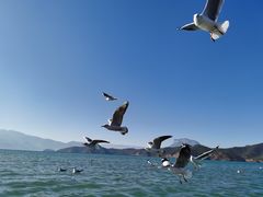 -丽江泸沽湖景区