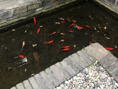-邓记新一代糖油果子(四川煤管局供销公司职工宿舍店)
