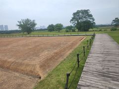 -盘龙城国家考古遗址公园