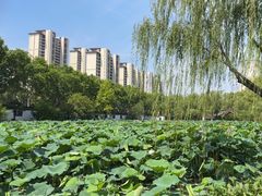 -清晏园