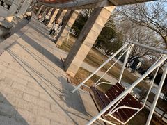 -石家庄市植物园