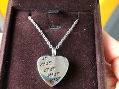 -彩虹桥宠物火化殡葬善终服务(金乐大厦店)