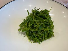 凉拌佛手瓜藤-名豪品鲜荟(云亭店)