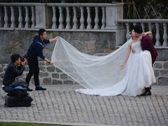 -北京张裕爱斐堡酒庄
