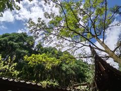 -刘伯温故里景区百丈漈