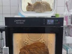 -拜鲁耶动物诊疗中心·宠家动物医院