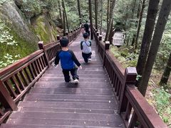 -汤旺河林海奇石景区