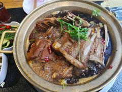 -友乐居羊蝎子(西直门店)