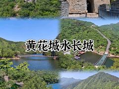 -向外鱼乐·土菜·虹鳟鱼
