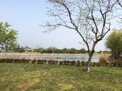 -梁鸿国家湿地公园