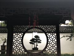 -上海醉白池公园