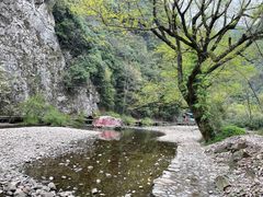 -水墨汀溪风景区
