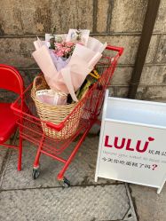 -LuLu玩具公社