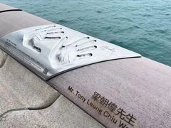 -星光大道