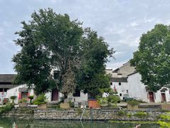 -东梓关景区村庄