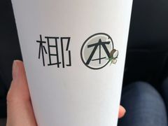 -津椰本·海南正宗椰奶清补凉(店一店)