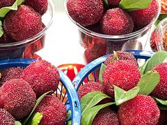 -每日新鲜水果吧(芮欧百货店)