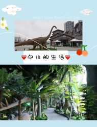 -恐龙探索乐园(磁器口店)