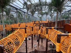 -呀路古热带植物园