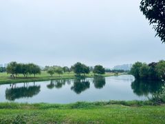 -洋湖国家湿地公园