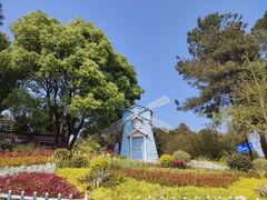 -铁山坪森林公园