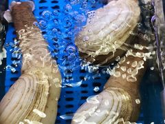 -金海湾海鲜排档(朱家尖店)