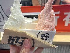 -野人先生现做冰淇淋(西安赛格店)
