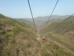 -栾川竹海野生动物园