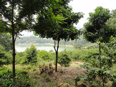 -秦岭天竺山景区