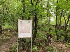 -帽儿山国家森林公园