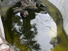 -双新垂钓园