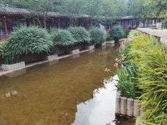 -龙潭水乡