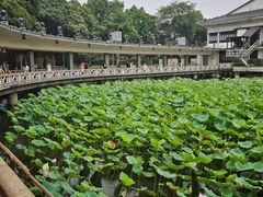 -荔湾湖公园