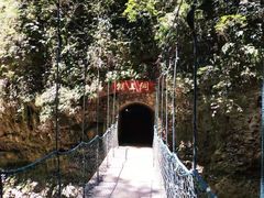 -梦幻奥陶纪景区